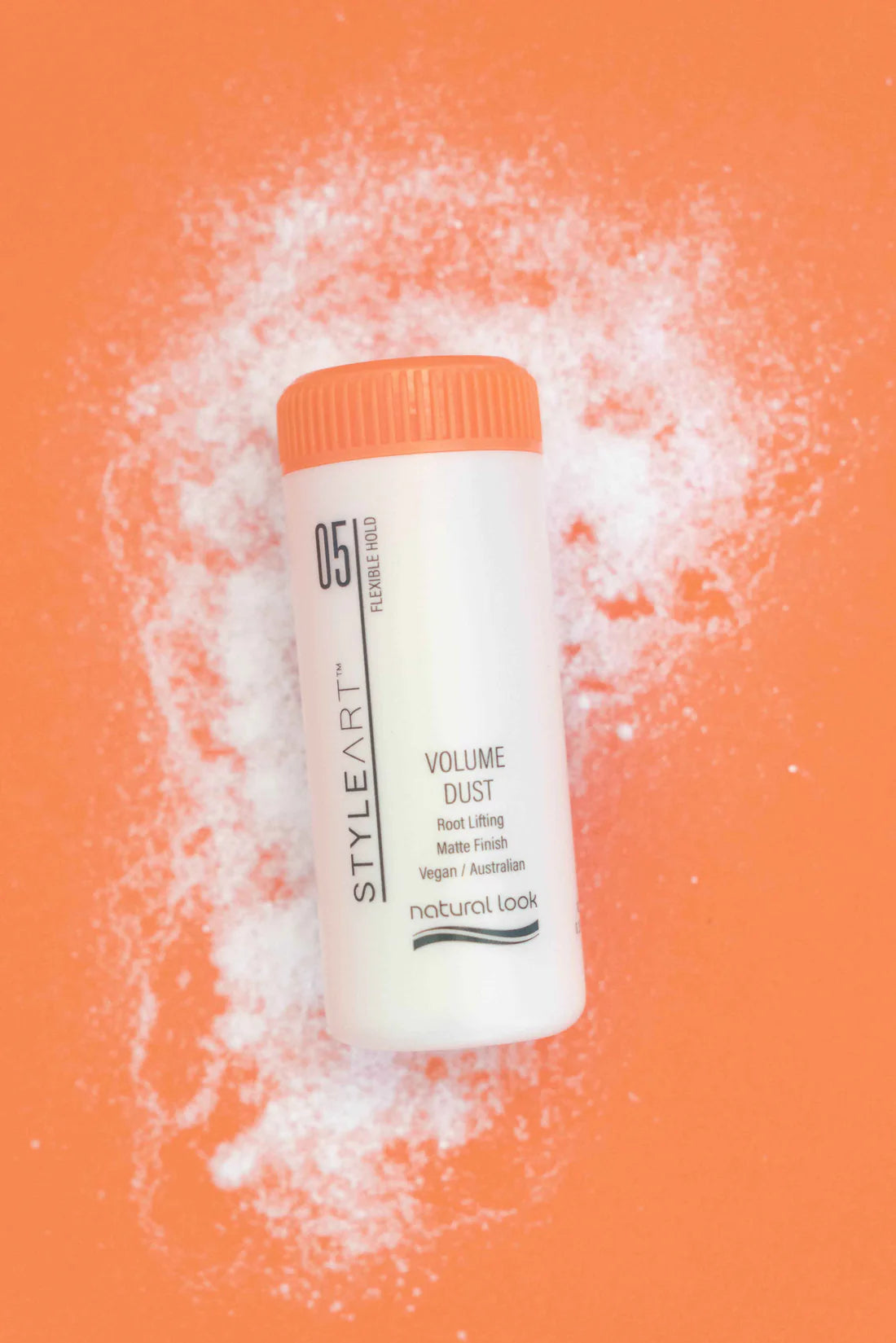 Natural Look Style Art Dust Powder 10g