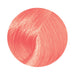 pravana-chroma-silk-vivids-pastels-creative-color.jpg